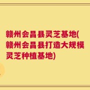 赣州会昌县灵芝基地(赣州会昌县打造大规模灵芝种植基地)
