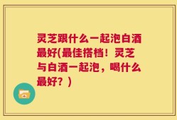 灵芝跟什么一起泡白酒最好(最佳搭档！灵芝与白酒一起泡，喝什么最好？)