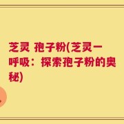 芝灵 孢子粉(芝灵一呼吸：探索孢子粉的奥秘)