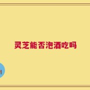 灵芝能否泡酒吃吗