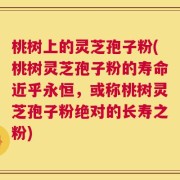 桃树上的灵芝孢子粉(桃树灵芝孢子粉的寿命近乎永恒，或称桃树灵芝孢子粉绝对的长寿之粉)