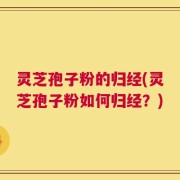 灵芝孢子粉的归经(灵芝孢子粉如何归经？)