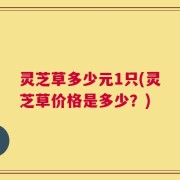 灵芝草多少元1只(灵芝草价格是多少？)