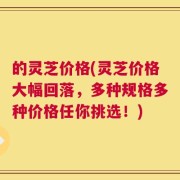 的灵芝价格(灵芝价格大幅回落，多种规格多种价格任你挑选！)