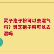 灵子孢子粉可以去湿气吗？灵芝孢子粉可以去湿吗