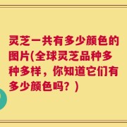 灵芝一共有多少颜色的图片(全球灵芝品种多种多样，你知道它们有多少颜色吗？)