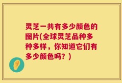 灵芝一共有多少颜色的图片(全球灵芝品种多种多样，你知道它们有多少颜色吗？)