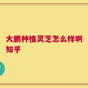 大鹏种植灵芝怎么样啊知乎