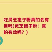 吃灵芝孢子粉真的会有用吗(灵芝孢子粉：真的有效吗？)