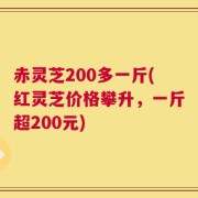 赤灵芝200多一斤(红灵芝价格攀升，一斤超200元)
