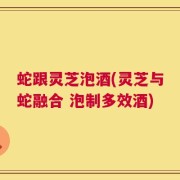 蛇跟灵芝泡酒(灵芝与蛇融合 泡制多效酒)