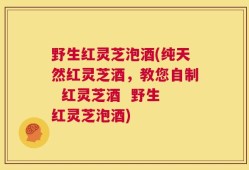 野生红灵芝泡酒(纯天然红灵芝酒，教您自制  红灵芝酒  野生红灵芝泡酒)