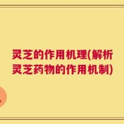 灵芝的作用机理(解析灵芝药物的作用机制)