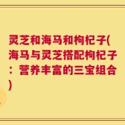 灵芝和海马和枸杞子(海马与灵芝搭配枸杞子：营养丰富的三宝组合)