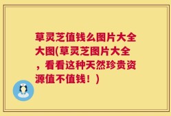 草灵芝值钱么图片大全大图(草灵芝图片大全，看看这种天然珍贵资源值不值钱！)