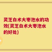 灵芝白术大枣泡水的功效(灵芝白术大枣泡水的好处)
