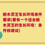 椴木灵芝生长环境条件要求(要有一个适合椴木灵芝的生长环境：条件和建议)