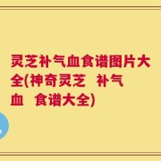 灵芝补气血食谱图片大全(神奇灵芝  补气血  食谱大全)