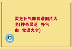 灵芝补气血食谱图片大全(神奇灵芝  补气血  食谱大全)
