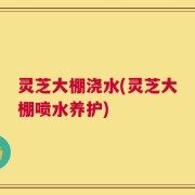 灵芝大棚浇水(灵芝大棚喷水养护)
