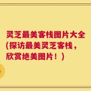 灵芝最美客栈图片大全(探访最美灵芝客栈，欣赏绝美图片！)