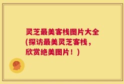 灵芝最美客栈图片大全(探访最美灵芝客栈，欣赏绝美图片！)