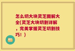 怎么切大块灵芝图解大全(灵芝大块切割详解，完美掌握灵芝切割技巧！)