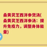 桑黄灵芝西洋参煲汤(桑黄灵芝西洋参汤：提升免疫力，调整身体能量)