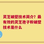 灵芝破壁技术简介？最有效的灵芝孢子粉破壁技术是什么