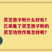 灵芝孢子粉什么好处？已采集了灵芝孢子粉的灵芝功效作用怎样呢？