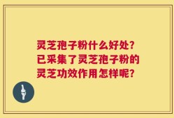 灵芝孢子粉什么好处？已采集了灵芝孢子粉的灵芝功效作用怎样呢？