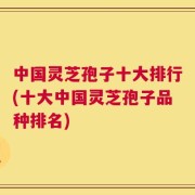 中国灵芝孢子十大排行(十大中国灵芝孢子品种排名)