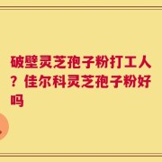 破壁灵芝孢子粉打工人？佳尔科灵芝孢子粉好吗