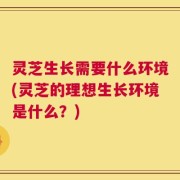 灵芝生长需要什么环境(灵芝的理想生长环境是什么？)