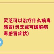 灵芝可以治疗什么病毒感冒(灵芝或可缓解病毒感冒症状)
