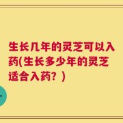 生长几年的灵芝可以入药(生长多少年的灵芝适合入药？)