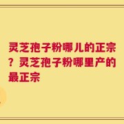灵芝孢子粉哪儿的正宗？灵芝孢子粉哪里产的最正宗