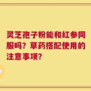灵芝孢子粉能和红参同服吗？草药搭配使用的注意事项？