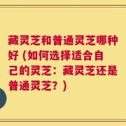 藏灵芝和普通灵芝哪种好 (如何选择适合自己的灵芝：藏灵芝还是普通灵芝？)