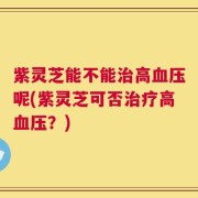 紫灵芝能不能治高血压呢(紫灵芝可否治疗高血压？)