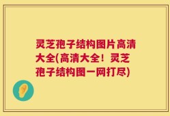 灵芝孢子结构图片高清大全(高清大全！灵芝孢子结构图一网打尽)