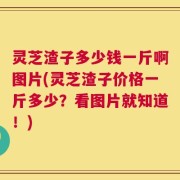 灵芝渣子多少钱一斤啊图片(灵芝渣子价格一斤多少？看图片就知道！)