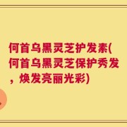 何首乌黑灵芝护发素(何首乌黑灵芝保护秀发，焕发亮丽光彩)
