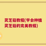 灵芝菇教程(学会种植灵芝菇的完美教程)