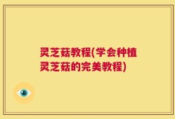 灵芝菇教程(学会种植灵芝菇的完美教程)