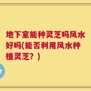 地下室能种灵芝吗风水好吗(能否利用风水种植灵芝？)