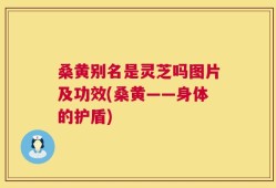 桑黄别名是灵芝吗图片及功效(桑黄——身体的护盾)
