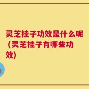 灵芝挂子功效是什么呢 (灵芝挂子有哪些功效)