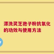 漂洗灵芝孢子粉抗氧化的功效与使用方法
