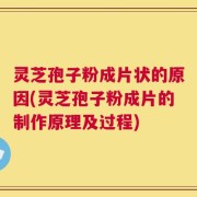 灵芝孢子粉成片状的原因(灵芝孢子粉成片的制作原理及过程)